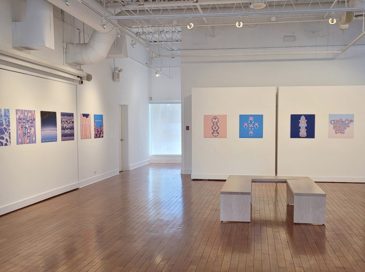 Gallery View (Left Side Wide View).