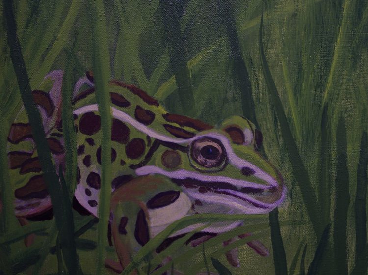 Kathy Harrison Searching For Leopard Frogs 36x48 Inches Acrylic on Canvas (Detail)