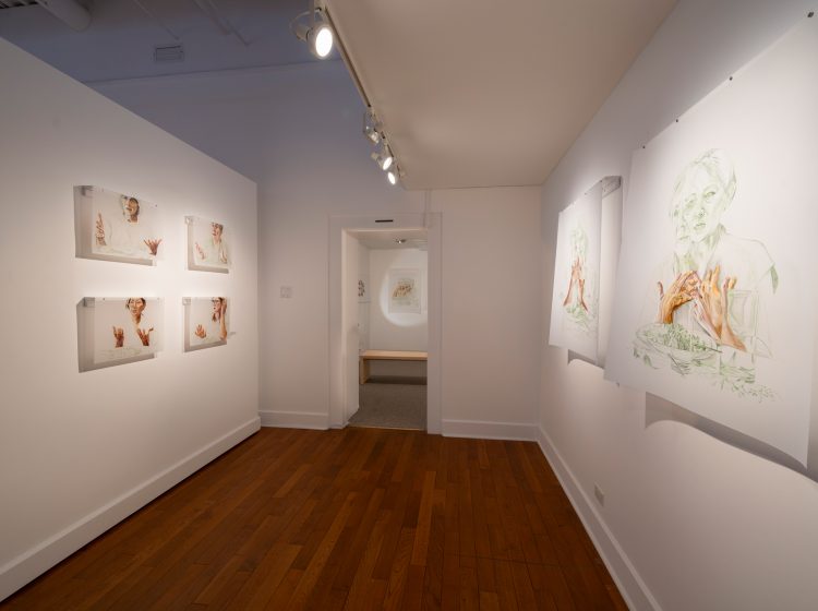 Lisa Wood, The Dinner Parties Series, Installation Image 7.  Mixed media drawings on drafting film.  Photograph by Doug Derksen.