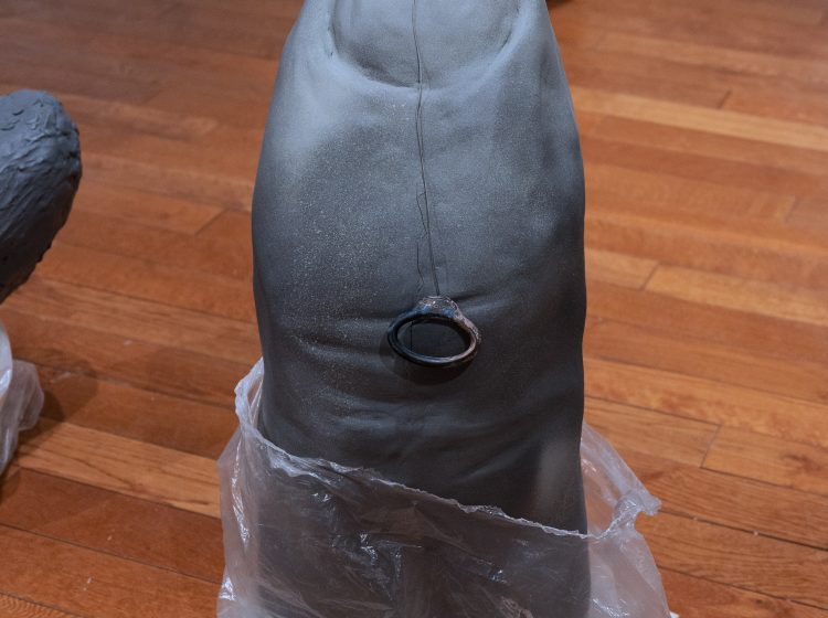 Manual Override - Ring Finger Detail