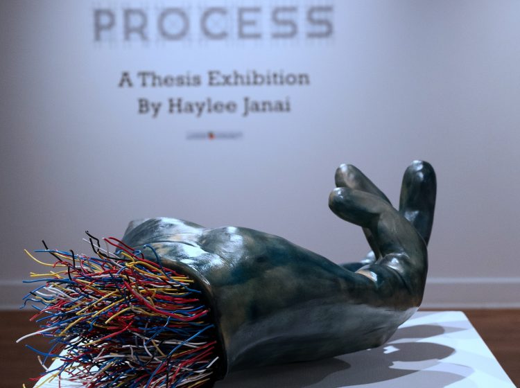 Nightengale V, less competent and confident, Earthenware, electric fired to 955┬░c, cyanotype, found wire, rustoleum finish, 2025_2026, 11.5_x32_x22_, left side View