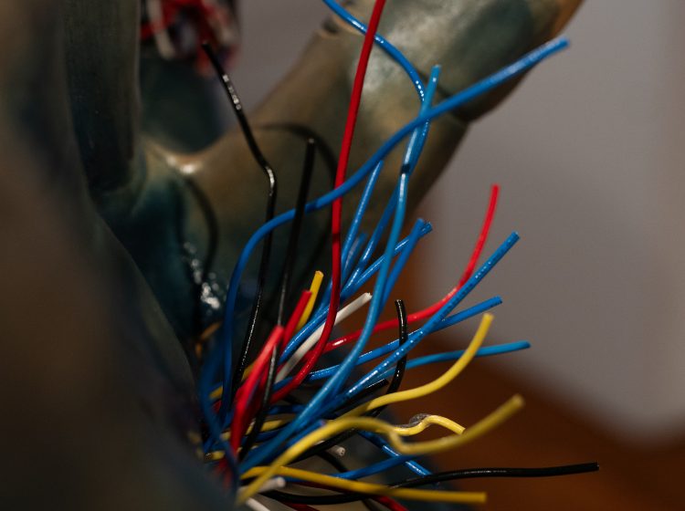 Nightengale IV - Detail