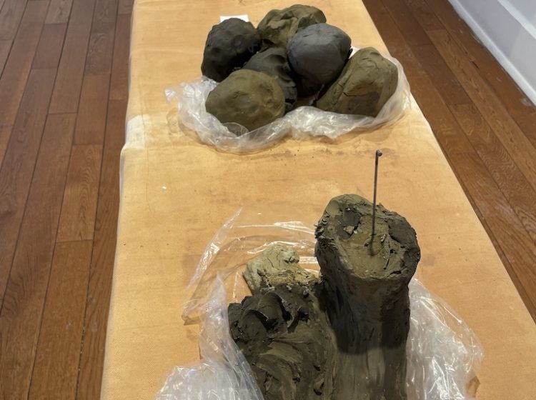 10-Henderson, Annette 2026 Forged Wild Clay, (back) Filtered & Wedged (middle) Sculpting Wild Clay (front)