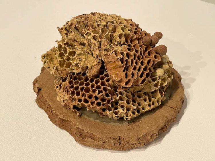 34-Henderson, Annette, 2026 Empty Nest Series No. 103, (Katrime, MB wild clay, fired to 1152 C)