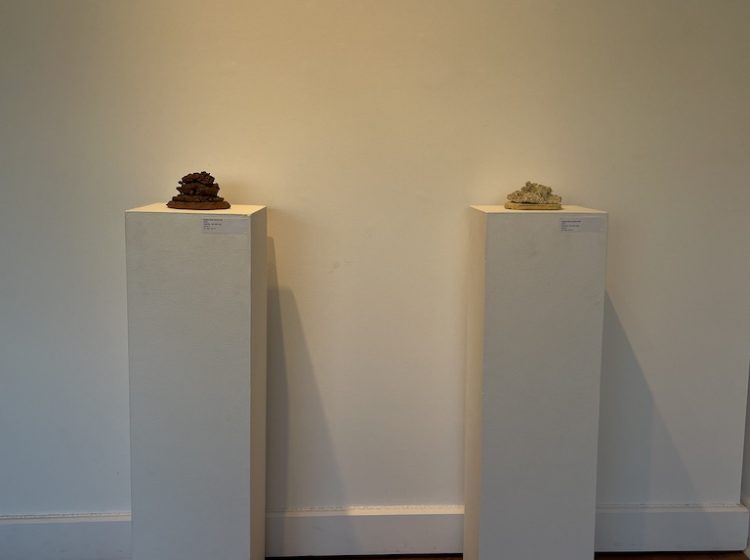 36-Henderson, Annette, 2026 Empty Nest Series (display section-3)