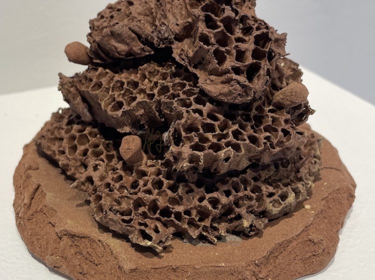 37-Henderson, Annette, 2026 Empty Nest Series No. 99 (Oakville, MB wild clay, fired to 1152 C)
